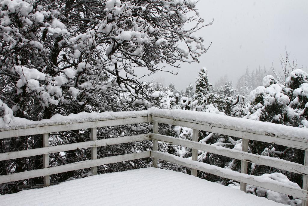 Pajaro Azul Bed & Breakfast San Carlos de Bariloche Exterior photo